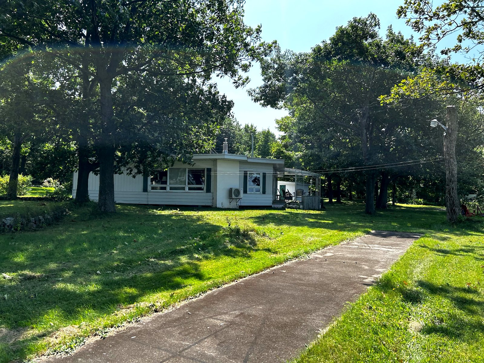 Le chalet sous les grands arbres