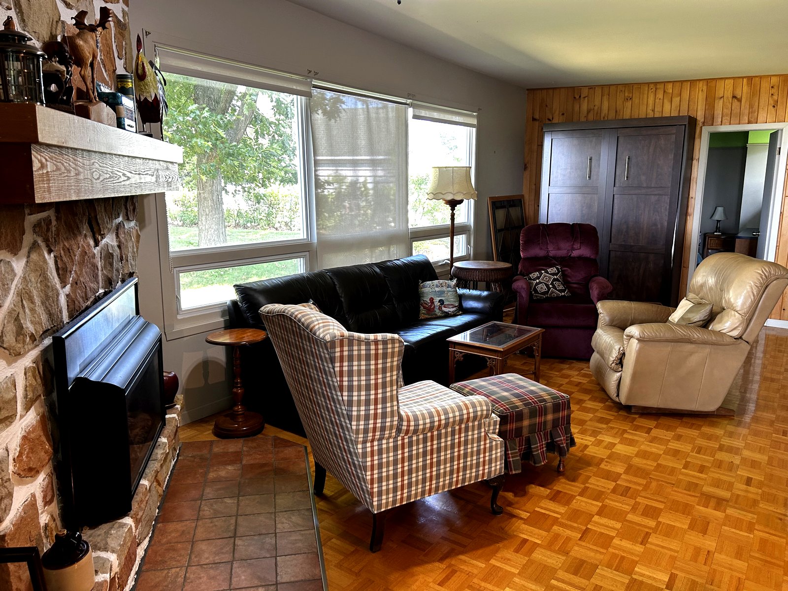 Salon avec foyer